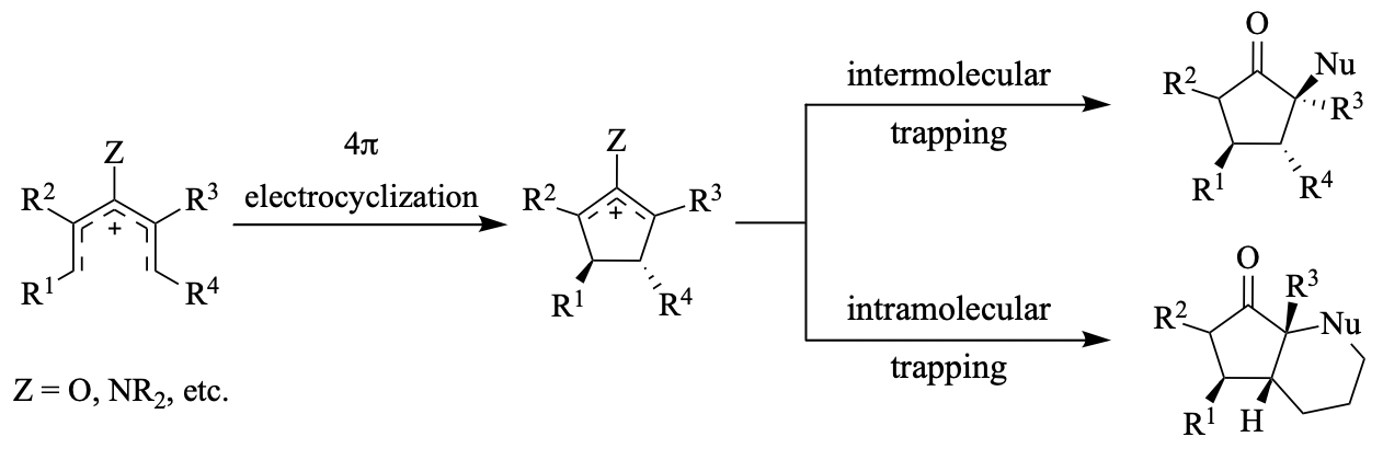The Nazarov Reaction: 30 Years of Progress